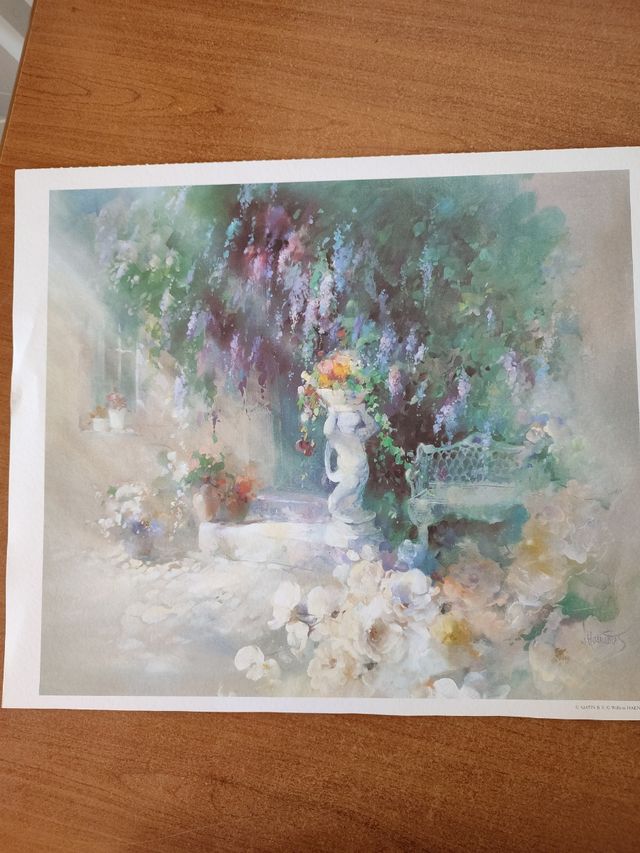 LÁMINAS PATIOS Y FLORES