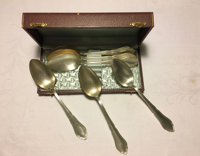 Estuche 6 Cucharas grandes marca WELLNER 100