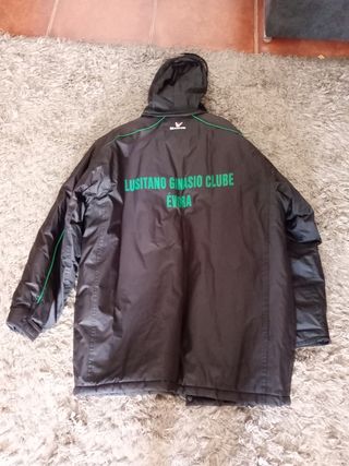 kispo do lusitano de Évora