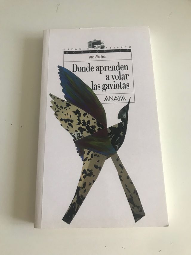 libro donde aprender a volar las gaviotas