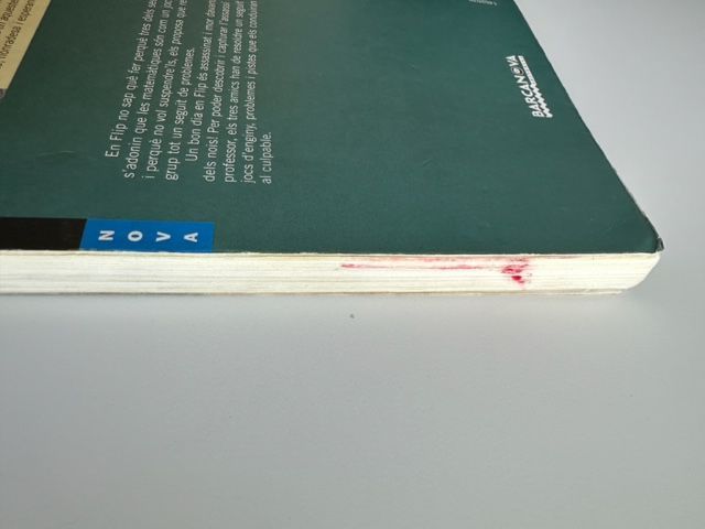 L'assassinat del professor de matemàtiques