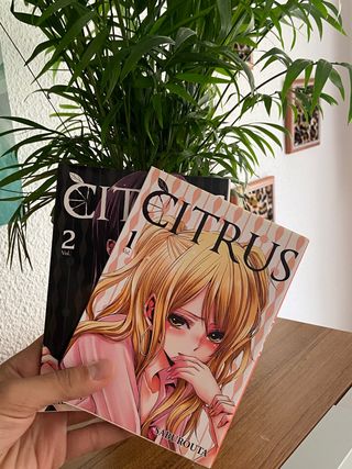 Mangas de citrus