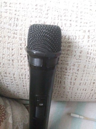 cantantes