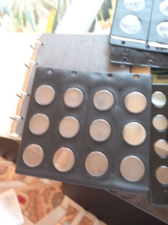 álbum de moneda y hojas