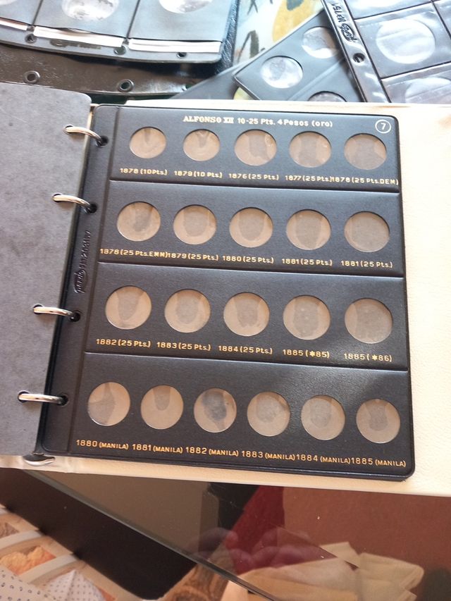 álbum de moneda y hojas