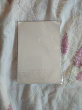 Figura acrílica de Sumi Sakurasawa