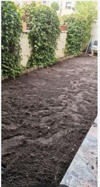 Poda y Mantenimiento Jardines Marbella