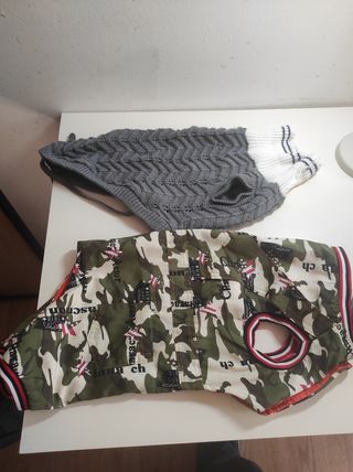 🐕lote para cuidados de mascota (un perro) 🐕