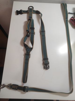 🐕lote para cuidados de mascota (un perro) 🐕