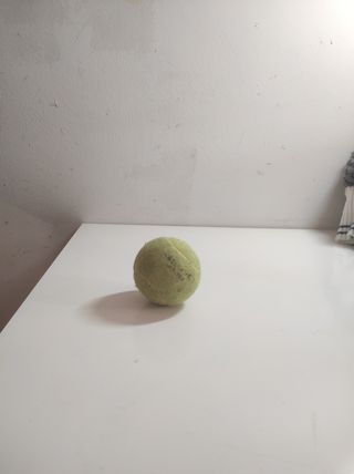 🐕lote para cuidados de mascota (un perro) 🐕