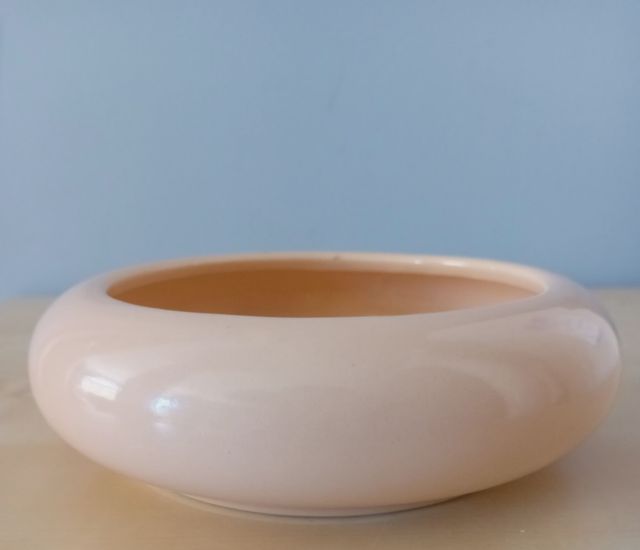 FIORIERA IN CERAMICA, BONSAI, PIANTE GRASSE...