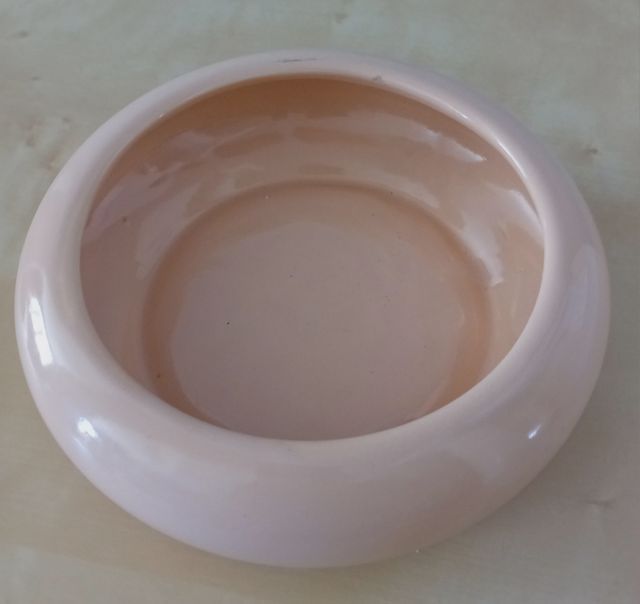 FIORIERA IN CERAMICA, BONSAI, PIANTE GRASSE...