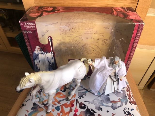 Gandalf y Shadowfax señor anillos