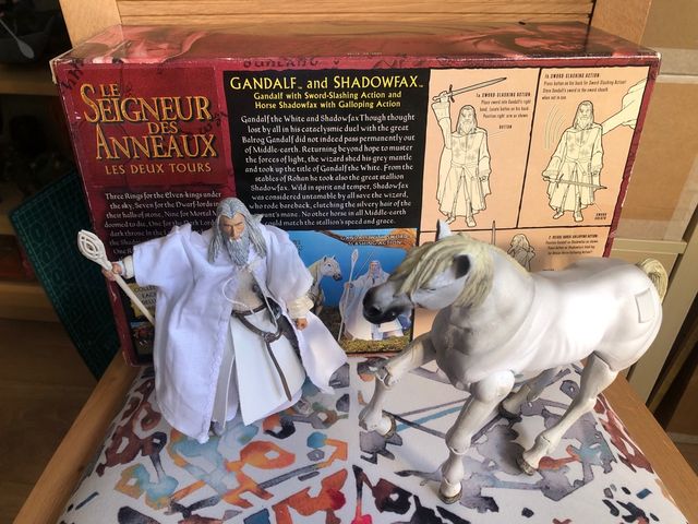 Gandalf y Shadowfax señor anillos