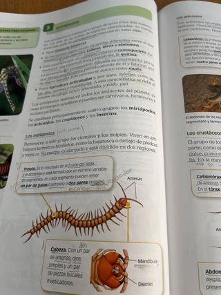 Biología y Geología 1 ESO