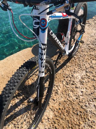 CANONNDALE CARBONO  F29