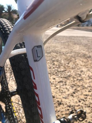 CANONNDALE CARBONO  F29