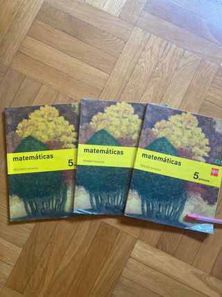Libros de matemáticas de 5 de primaria  SM. Savia