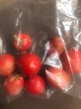 Ruscus, plantas , semillas y raices