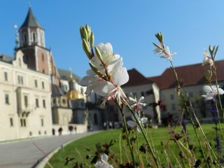 Cámara Fotográfica Nikon coolpix p500