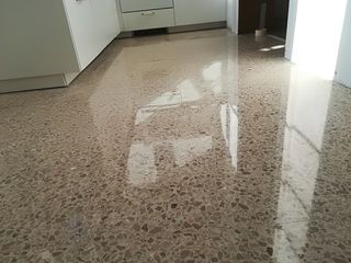 Pulidor profesional