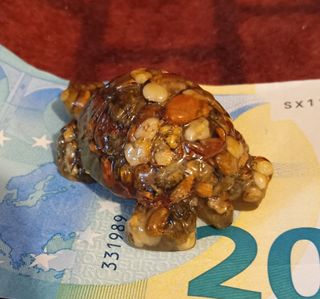 tartaruga pietre dure banconota non inclusa