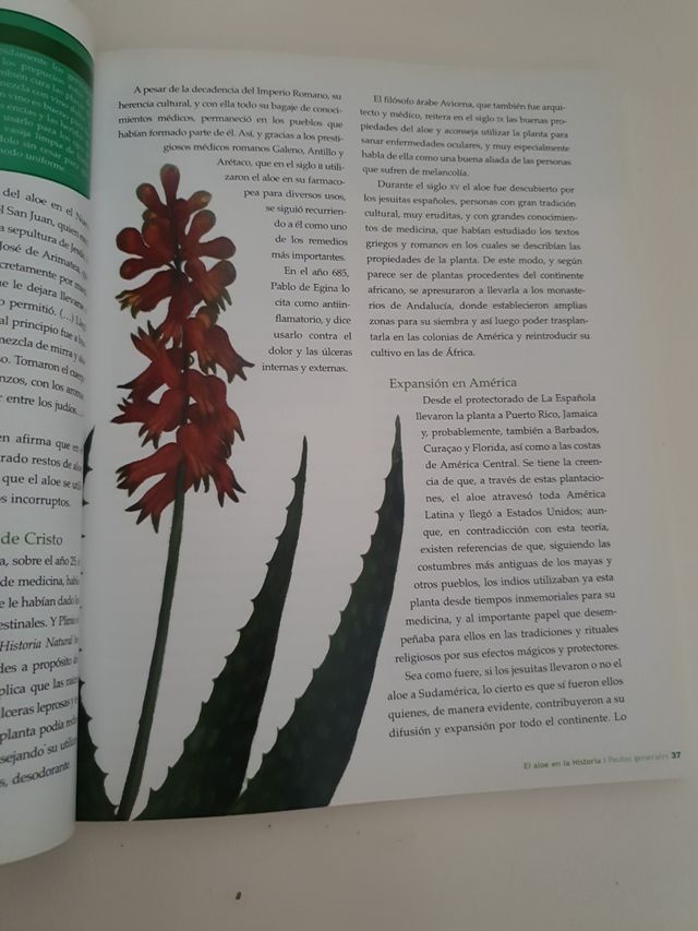 El gran libro del Áloe Vera
