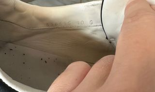 Zapatillas Gucci