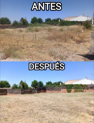 REALIZAMOS TODO TIPO DE DESBROCES Y PODAS