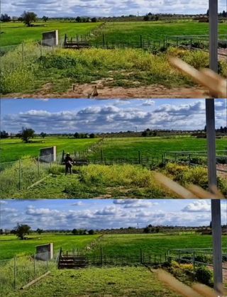 REALIZAMOS TODO TIPO DE DESBROCES Y PODAS