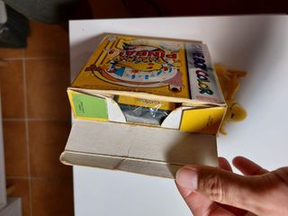 Pokemon Pinball Game Boy