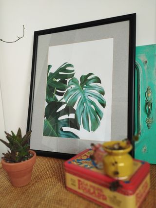 Cuadro monstera deliciosa 43x54