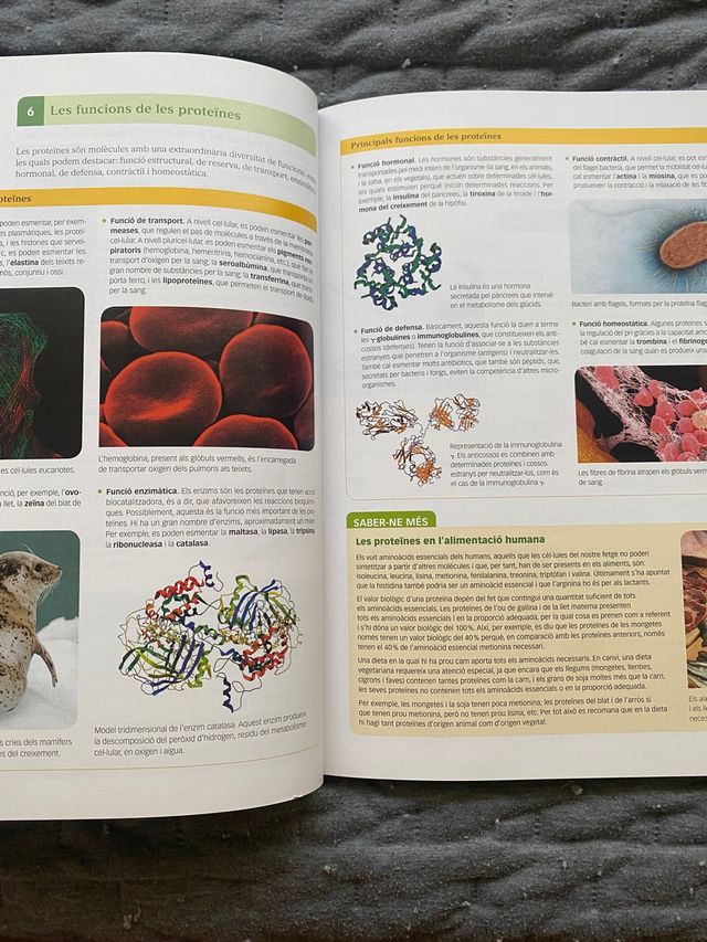 Libro "Biologia" + "Quadern de pràctiques" EDEBÉ