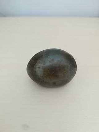 Anillo grande de coco nuevo