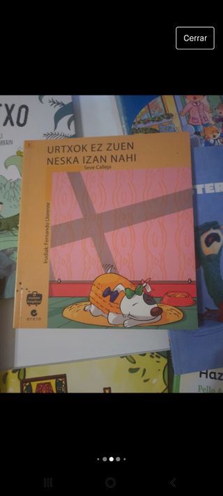 lote  libros cuentos .en Euskera niños