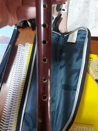 Flauta  + Funda