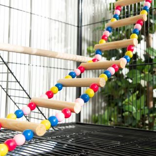 Jaula pájaros con perchas y comederos NUEVA