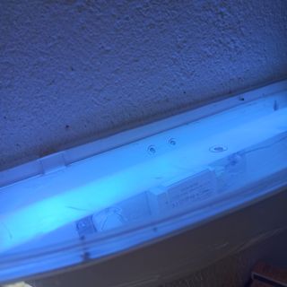 lampara luz UV antimoscas bar