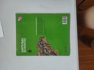 Natural Sciences de 6 primaria
