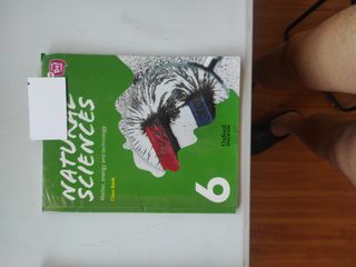 Natural Sciences de 6 primaria