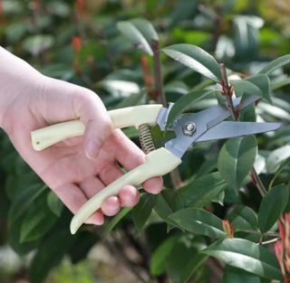 tijeras de poda