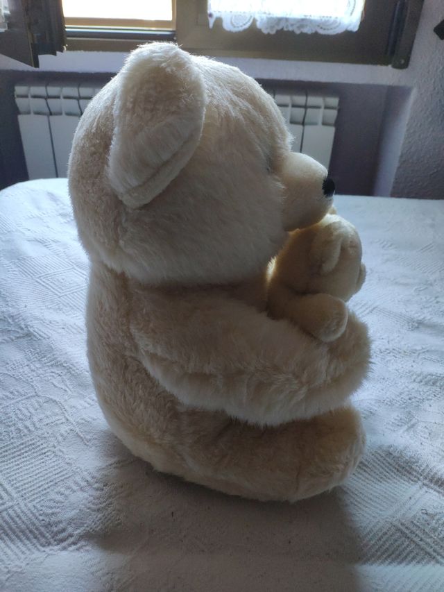 Mamá osa con osito.