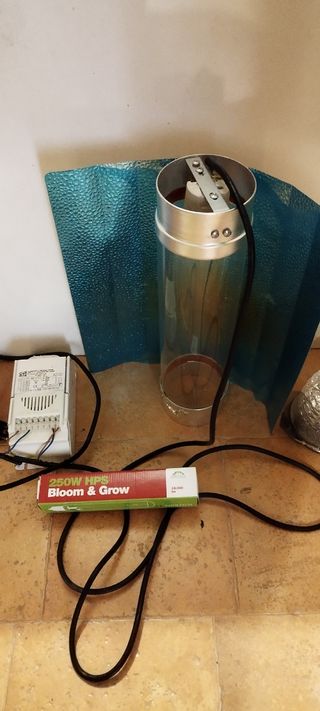 KIT DE CULTIVO INDOOR