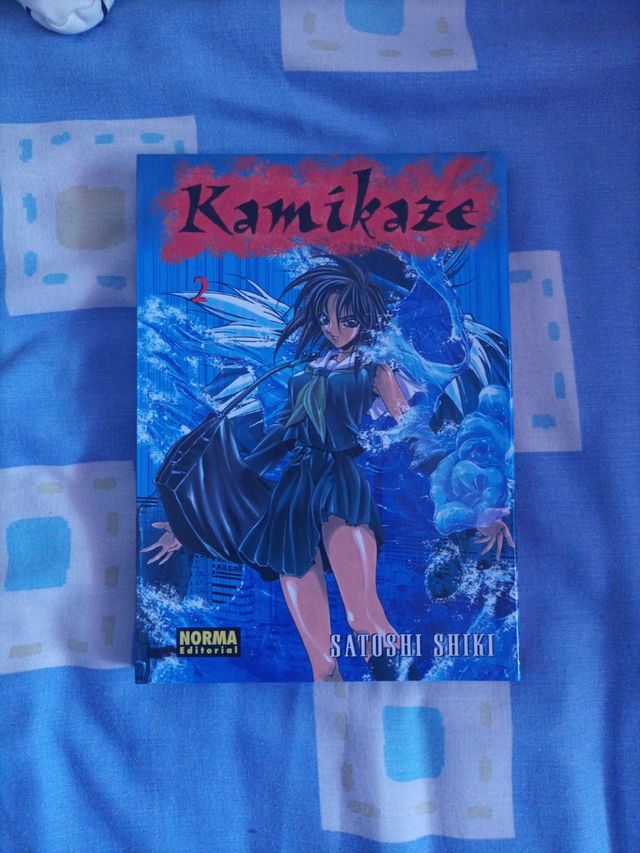MANGA KAMIKAZE 2