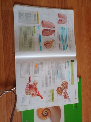 Libro Biologia y Geología 3o Eso