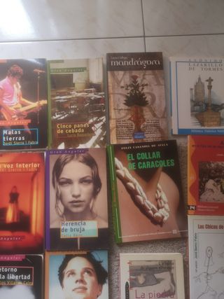 libros a 3 Euros