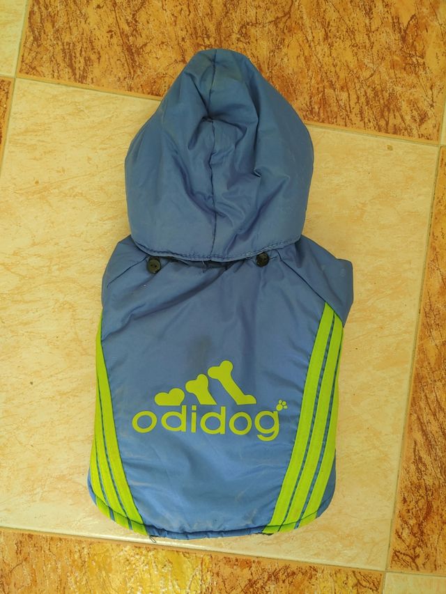 Chubasqueros para perro pequeño