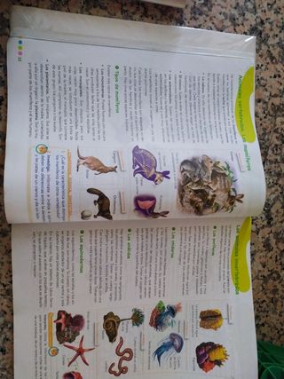 ciencias de la naturaleza Anaya