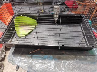 Jaula conejo