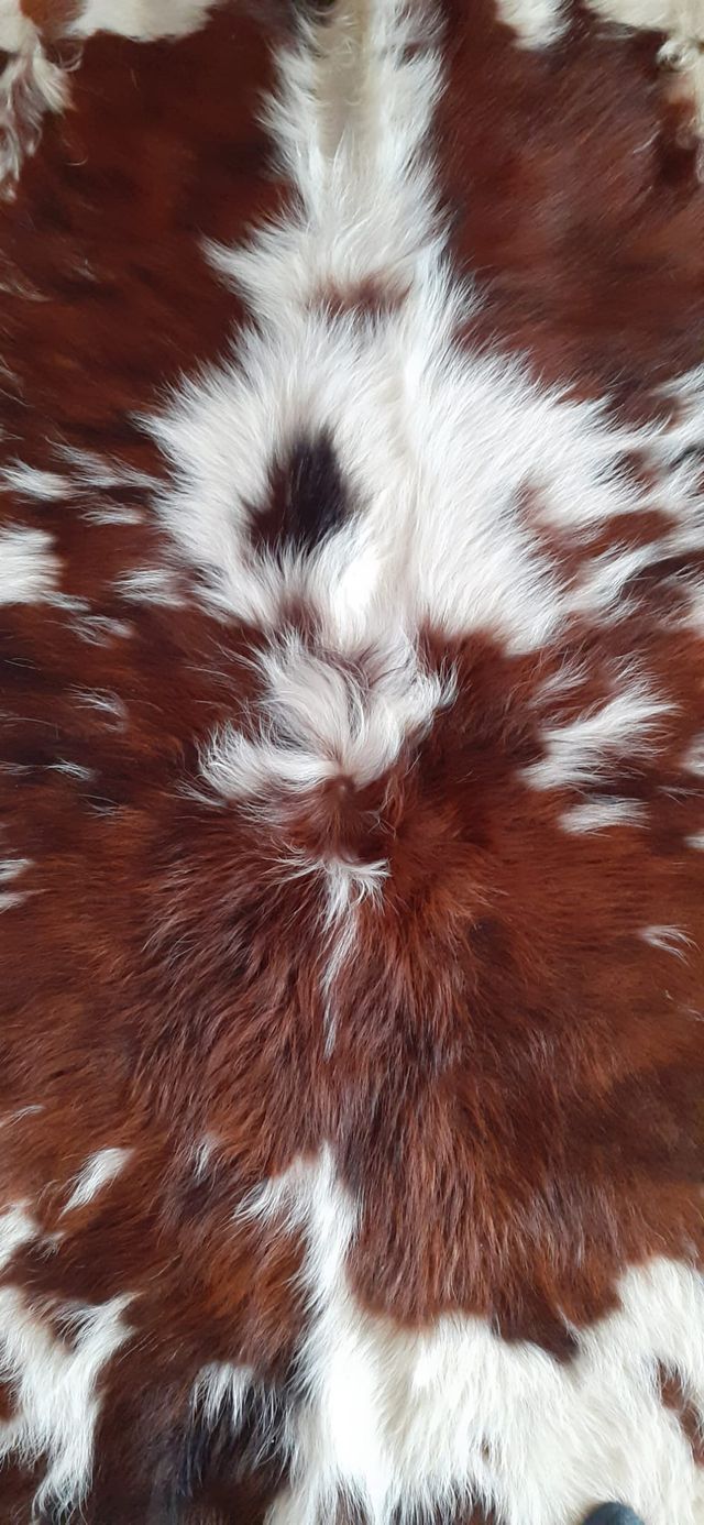 Tappeto in cavallino